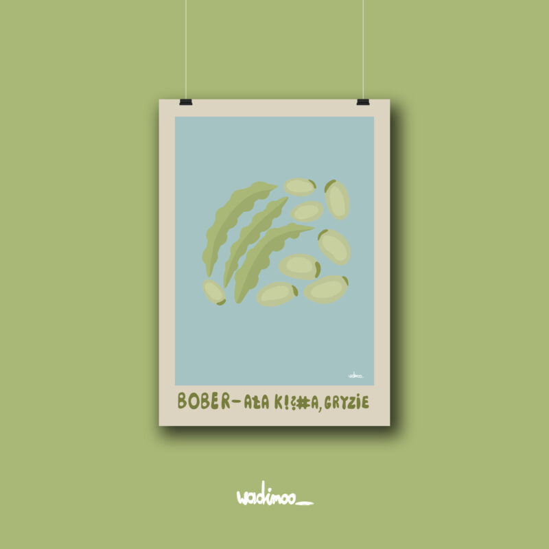 Bober - plakat